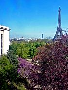 du XVIème arrondissement - Vu de la Cité de l'Architecture et du patrimoine