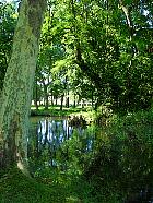 Chîteau et Parc de Chamarande (77) - 