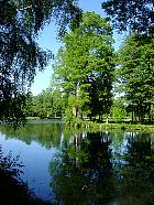 Chîteau et Parc de Chamarande (77) - 