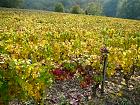 Cuchery - 