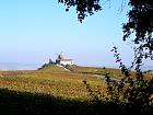 Verzenay - Moulin de Verzenay