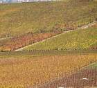 Verzenay - 