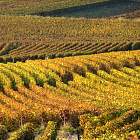 Verzenay - 
