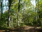 Verzenay - 