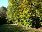 Verzenay - 
