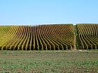 Sermiers - 