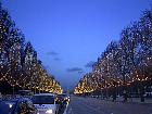 Noël - Champs-lyses