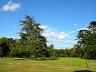 Chaumont-sur-Loire - Parc