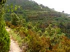 de Corniglia à Manarola - 