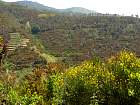 de Corniglia à Manarola - 