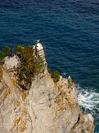 Manarola - 