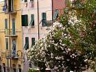 Riomaggiore - Riomaggiore