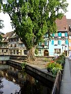 Colmar - 