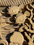 Musée des colonies - Asie