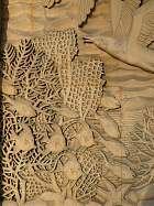 Musée des colonies - Asie