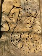 Musée des colonies - 