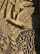 Musée des colonies - 