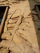 Musée des colonies - 