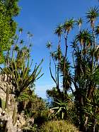 Monaco et la corniche - 