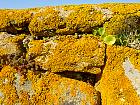 Pointe du - 