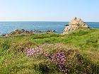 Pointe du - Rochers de la pointe de Jardeheu