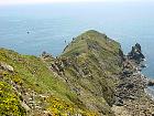 Pointe du - Nez de Jobourg