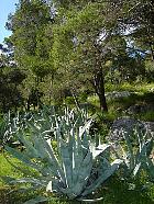 Île de Hvar - 