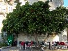 Île de Korčula - 