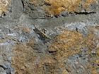Parc de Mljet - 