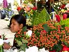 Cuenca - March aux Fleurs