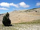 Haute Provence - Le mont Ventoux (1909 m)