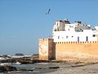 Essaouira - 