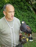 Vallée de la Juine - Faucon