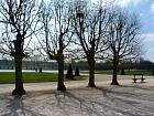 Le Parc et les bassins - 