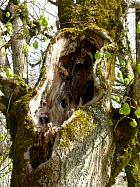 Le Parc et les bassins - 