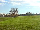 Marché du gras - Paysage du Gers