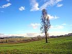 Marché du gras - Paysage du Gers