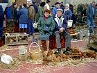 Marché du gras - Foire au gras de Samatan