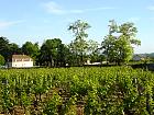 Givry - Vignoble de cte chalonnaise