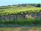 Givry - 