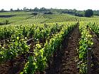 Givry - 