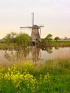 Moulins de Kinderdijk - 