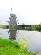 Moulins de Kinderdijk - Moulin de l'Overwaard