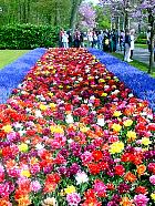 Jardin de Keukenhof  - 