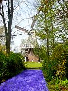 Jardin de Keukenhof  - 