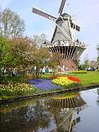 Jardin de Keukenhof  - 