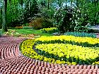 Jardin de Keukenhof  - 