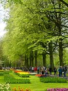 Jardin de Keukenhof  - 