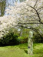 Jardin de Keukenhof  - 