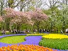 Jardin de Keukenhof  - 